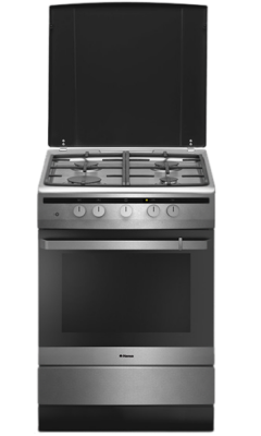 Плита газовая Hansa FCGX62040 (FCGX62040) Изображение №1