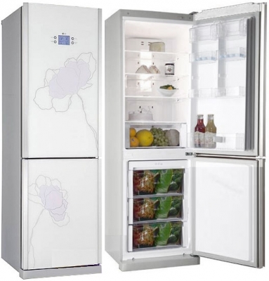 Холодильник двухкамерный LG GA B409TGAT (GA B409TGAT) Изображение №1